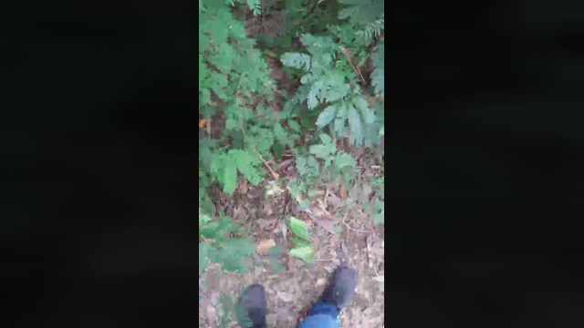 Synbaherrera  31-03-2022